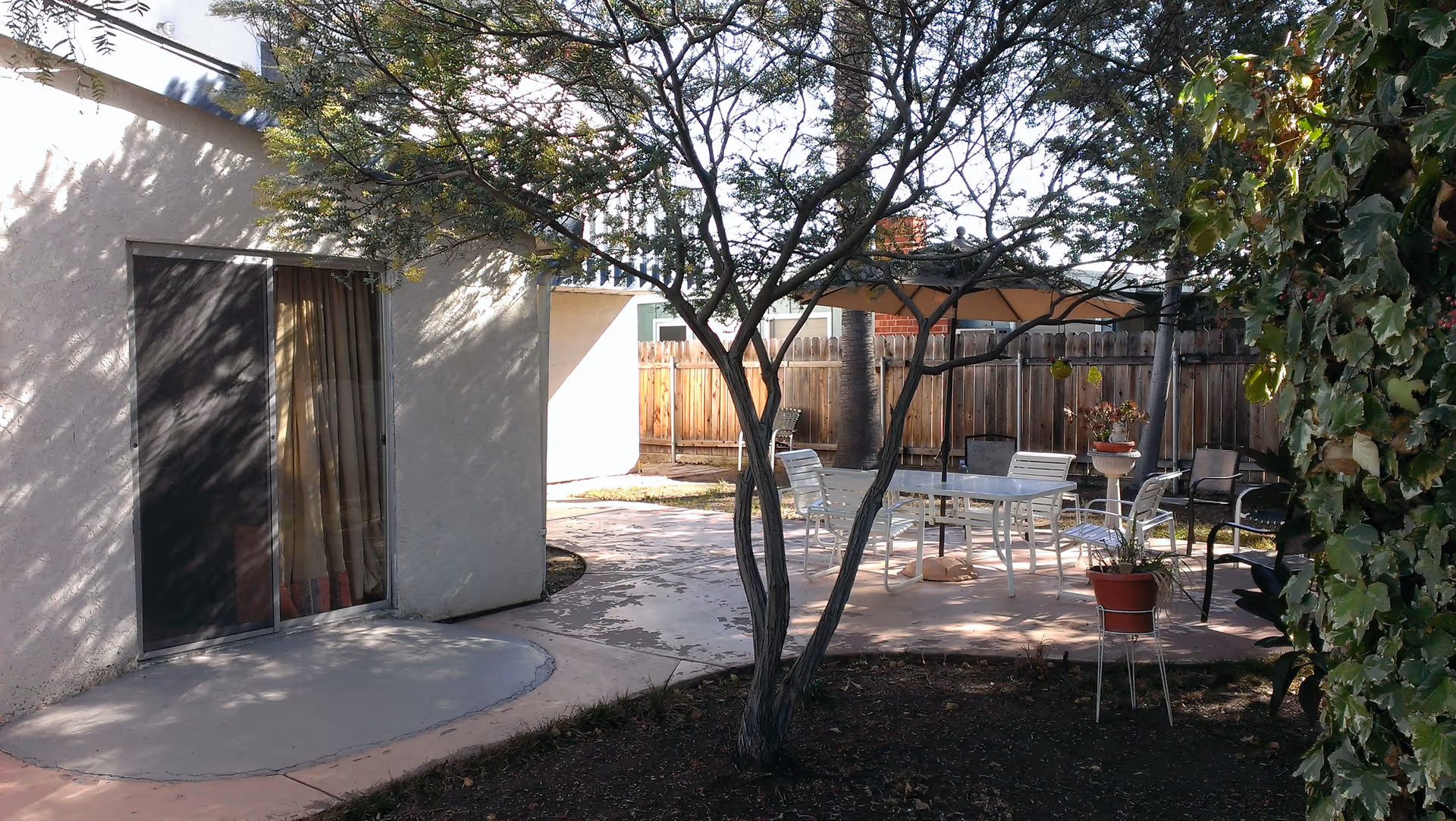 Backyard patio with a small tree, outdoor table and chairs under an umbrella beside a sliding glass door.