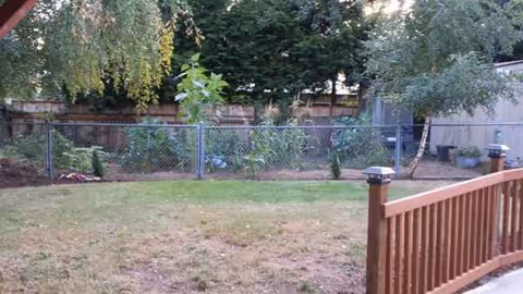 Backyard outdoor area with a wooden railing, chain-link fence, and trees.
