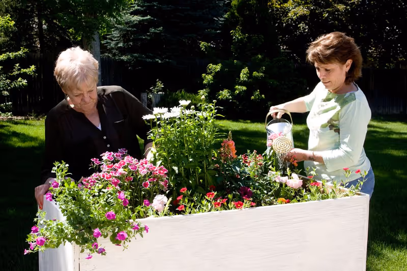 Two women tending to a raised garden bed filled with various colorful flowers in a sunny outdoor garden area with green grass and trees in the background.