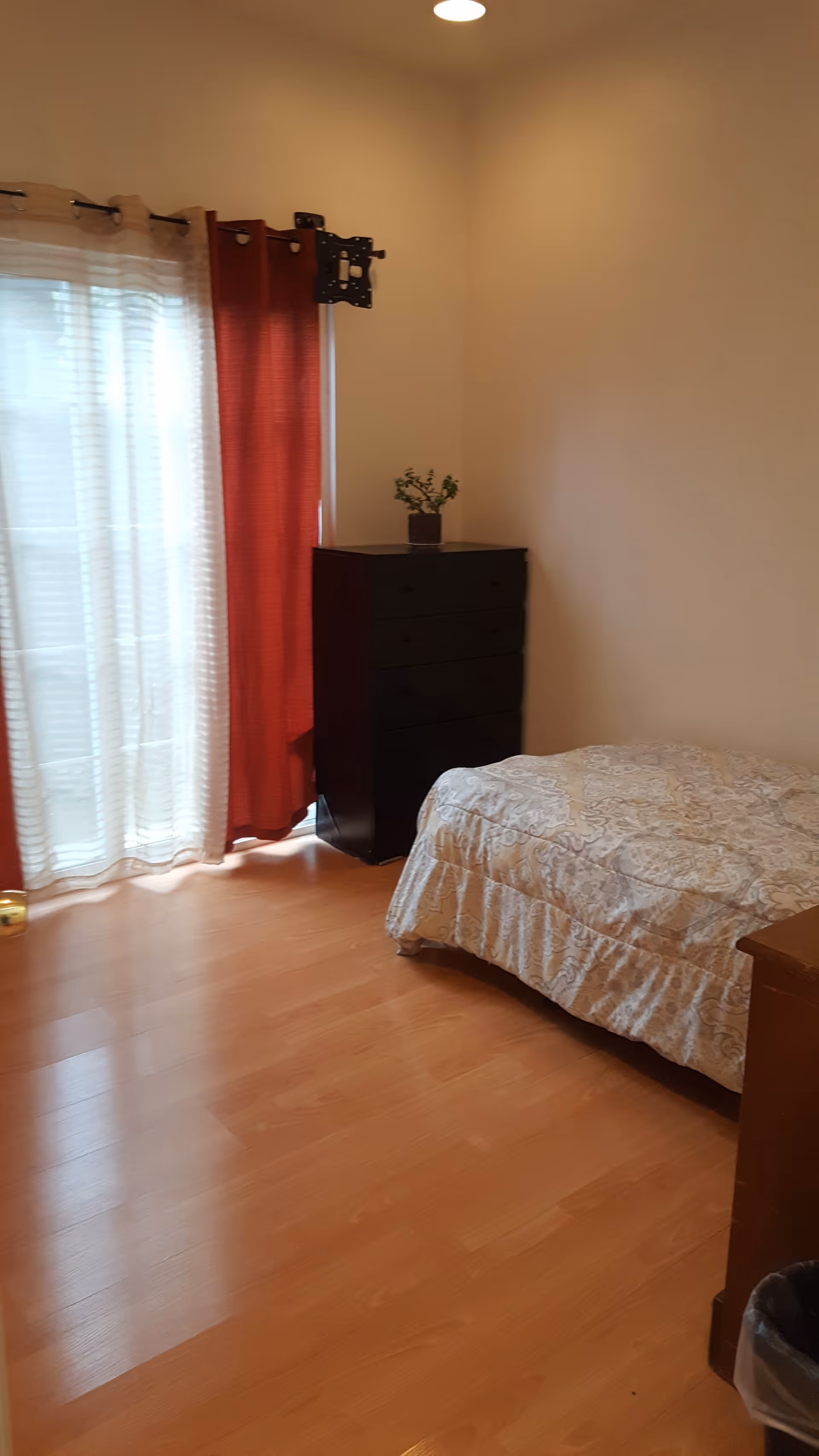 A simple bedroom with a single bed covered in a patterned bedspread, a dark wooden dresser with a small plant on top, light wooden flooring, and a window with sheer white curtains and red drapes.