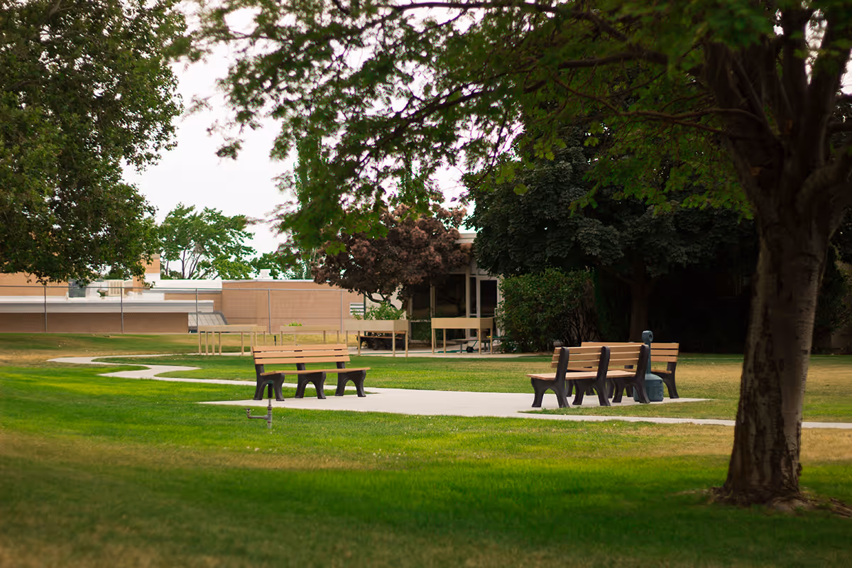 Outdoor area with green grass, several trees, and a paved walkway with wooden benches arranged around it. A building is visible in the background behind the trees.