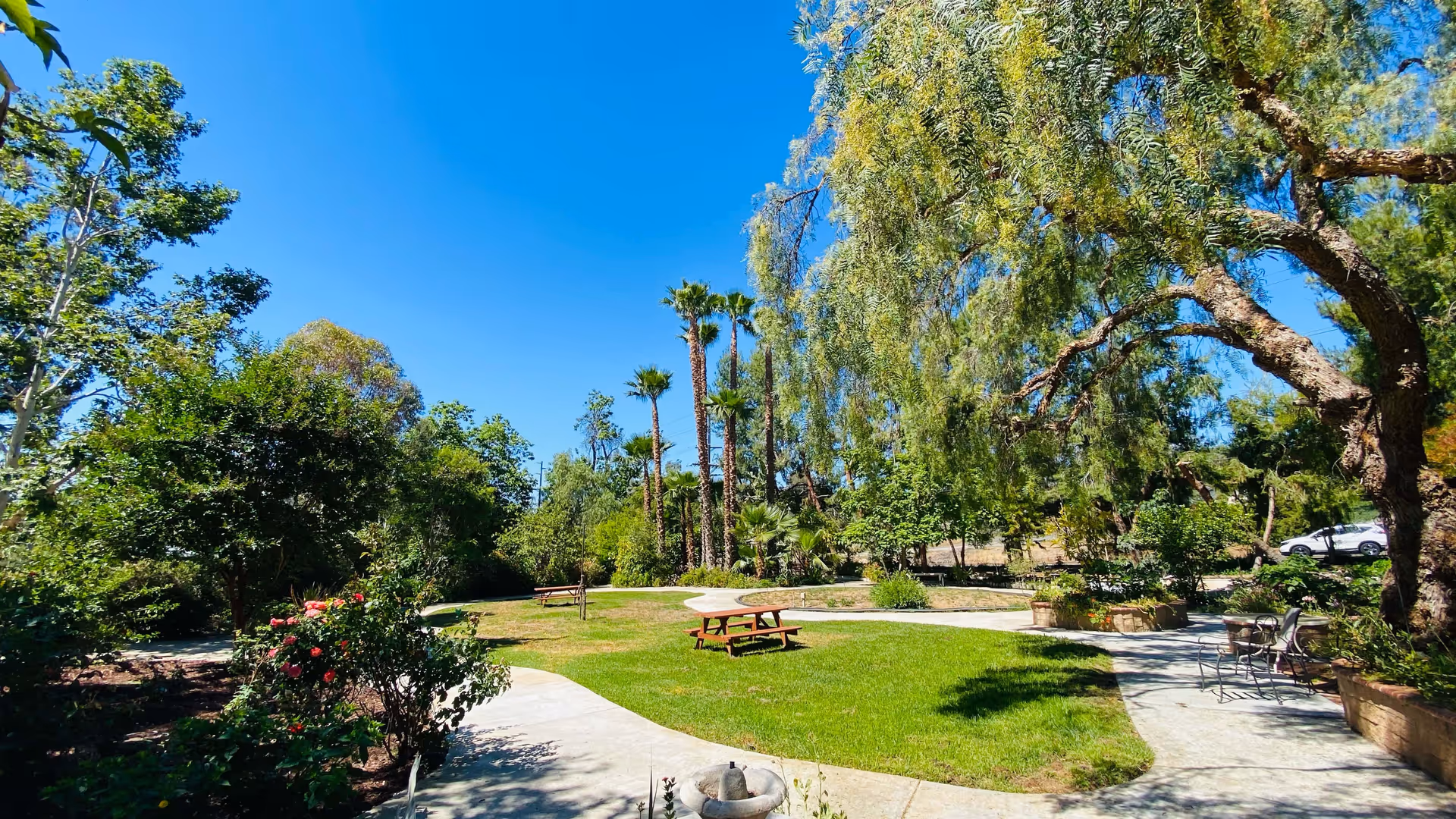 A sunny outdoor garden area with a curved concrete pathway surrounding a grassy lawn. There are several trees, including tall palm trees and a large leafy tree providing shade. A wooden picnic table and metal chairs with a small table are placed along the pathway. The sky is clear and blue.