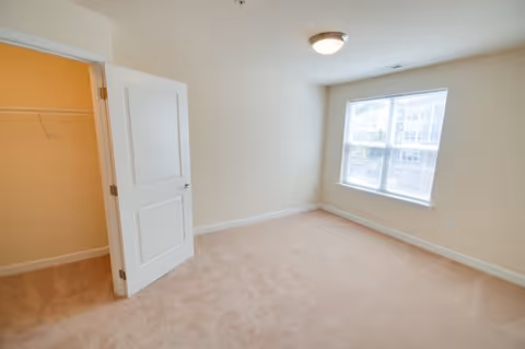Empty bedroom with beige carpet, cream-colored walls, a window letting in natural light, a ceiling light fixture, and an open door leading to a walk-in closet with a wire shelf.