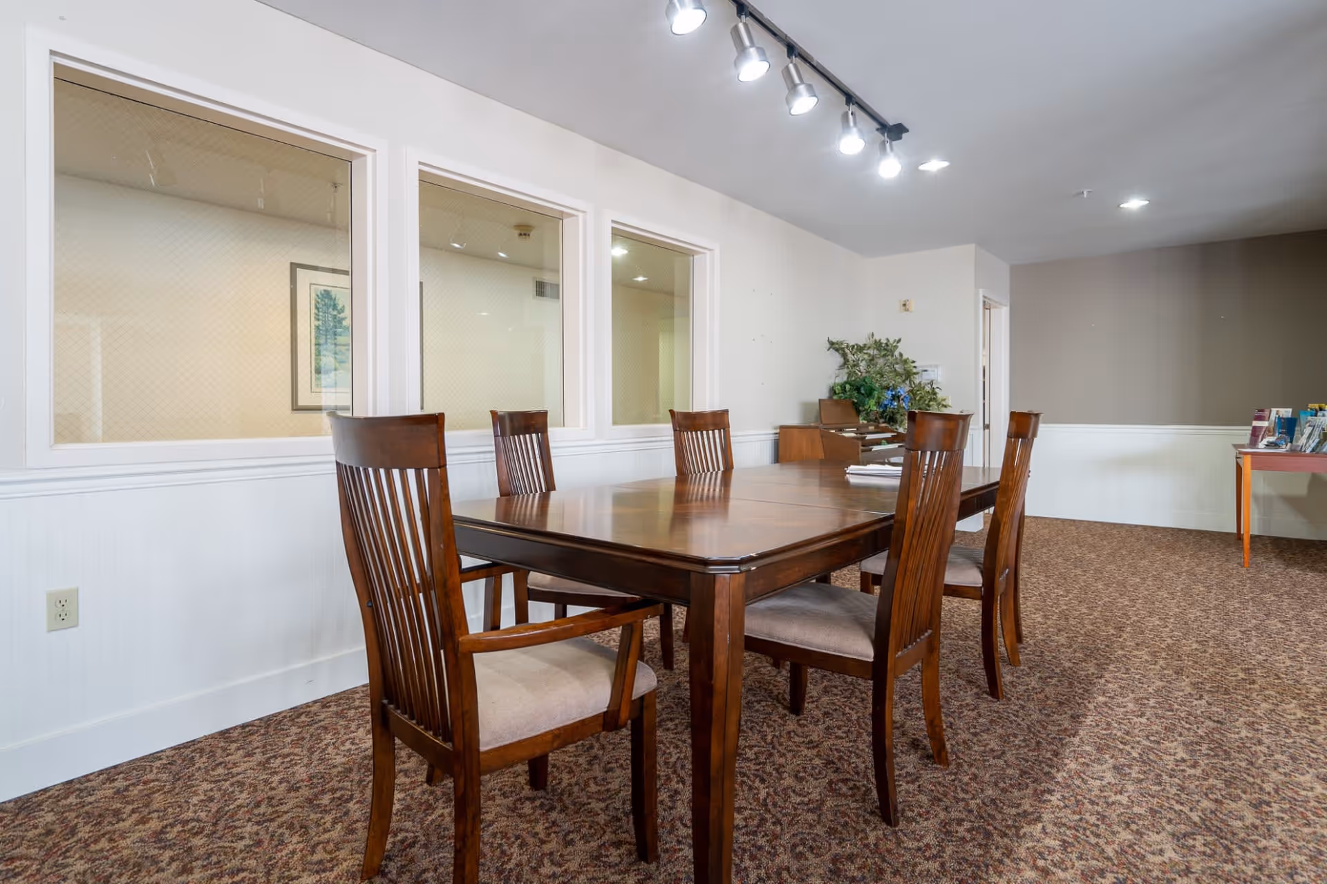 A meeting or dining room with a wooden table and six wooden chairs with cushioned seats. The room has carpeted flooring, white walls with a brown accent wall, and three large windows with wire mesh on one side. There is a plant and some brochures on a table in the background, with ceiling track lighting illuminating the space.