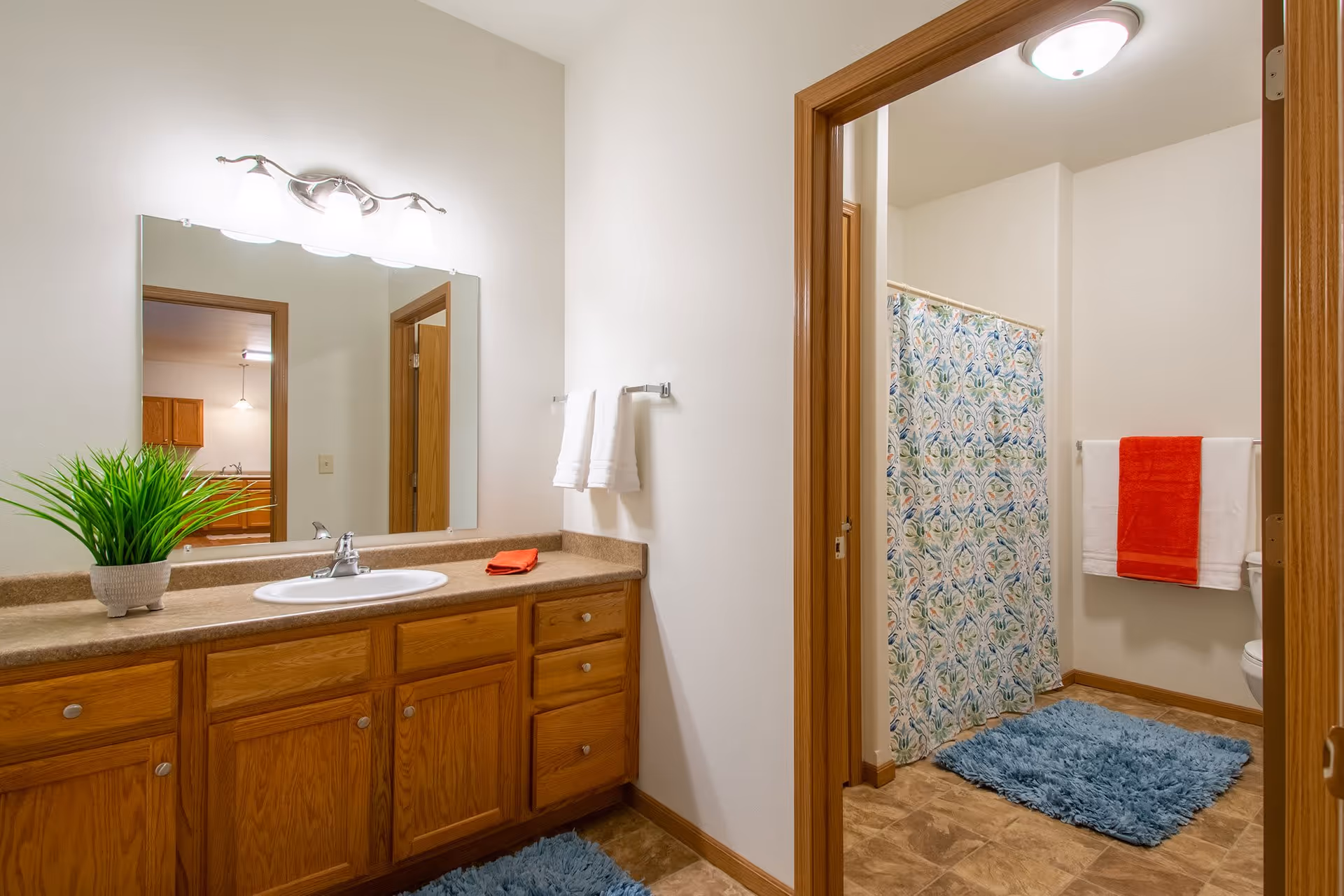 A clean bathroom with wooden cabinets and a countertop sink. Above the sink is a large mirror with three light fixtures. A green potted plant and a folded orange towel are on the countertop. To the right, there is a doorway leading to a shower area with a colorful floral shower curtain, a blue bath mat, and a towel rack holding a white towel with an orange towel draped over it. The floor has a brown tile pattern.