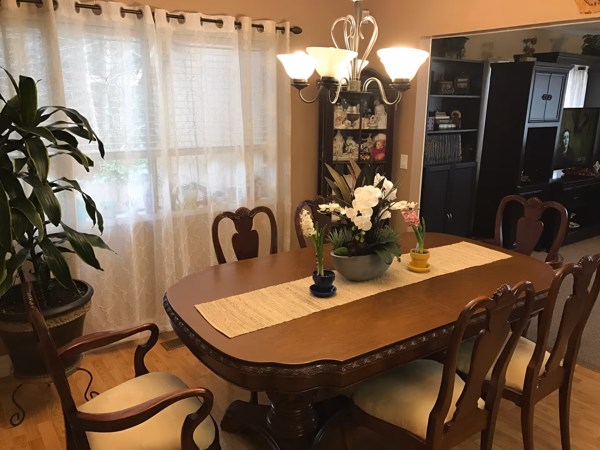 A dining room with a wooden dining table surrounded by six chairs with cushioned seats. The table has a beige runner and three potted plants as a centerpiece. There is a large window with sheer white curtains on the left side, a potted plant near the window, and a chandelier with five lights hanging above the table. In the background, there is a dark wooden cabinet and a TV on a stand.