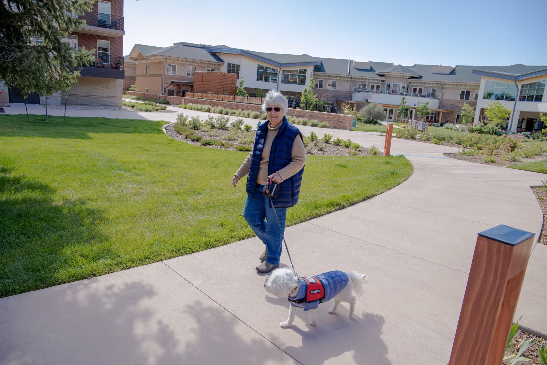 An elderly woman wearing sunglasses, a blue vest, and jeans is walking a small white dog dressed in a blue jacket on a leash along a curved concrete pathway in a landscaped outdoor area of a retirement community. Modern buildings and green lawns with shrubs are visible in the background under a clear sky.