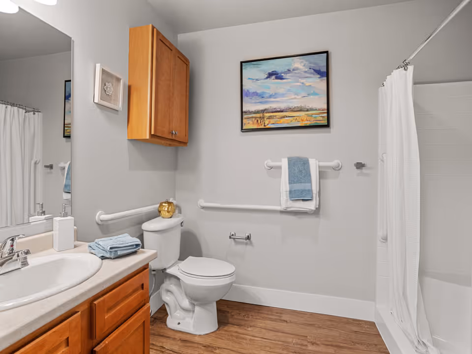 A clean and accessible bathroom featuring a white toilet, a wooden cabinet mounted on the wall, a sink with a countertop and faucet, a mirror, and a bathtub with a white shower curtain. The walls are light gray with a colorful landscape painting above the toilet. There are grab bars installed near the toilet and bathtub for safety, and folded towels are placed on the towel rack and countertop. The floor is wooden.