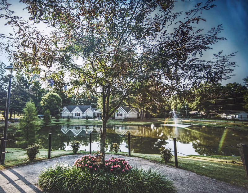 Landscaped pond with a central tree and flowerbed in the foreground, a fountain in the water and houses reflected along the far shore.