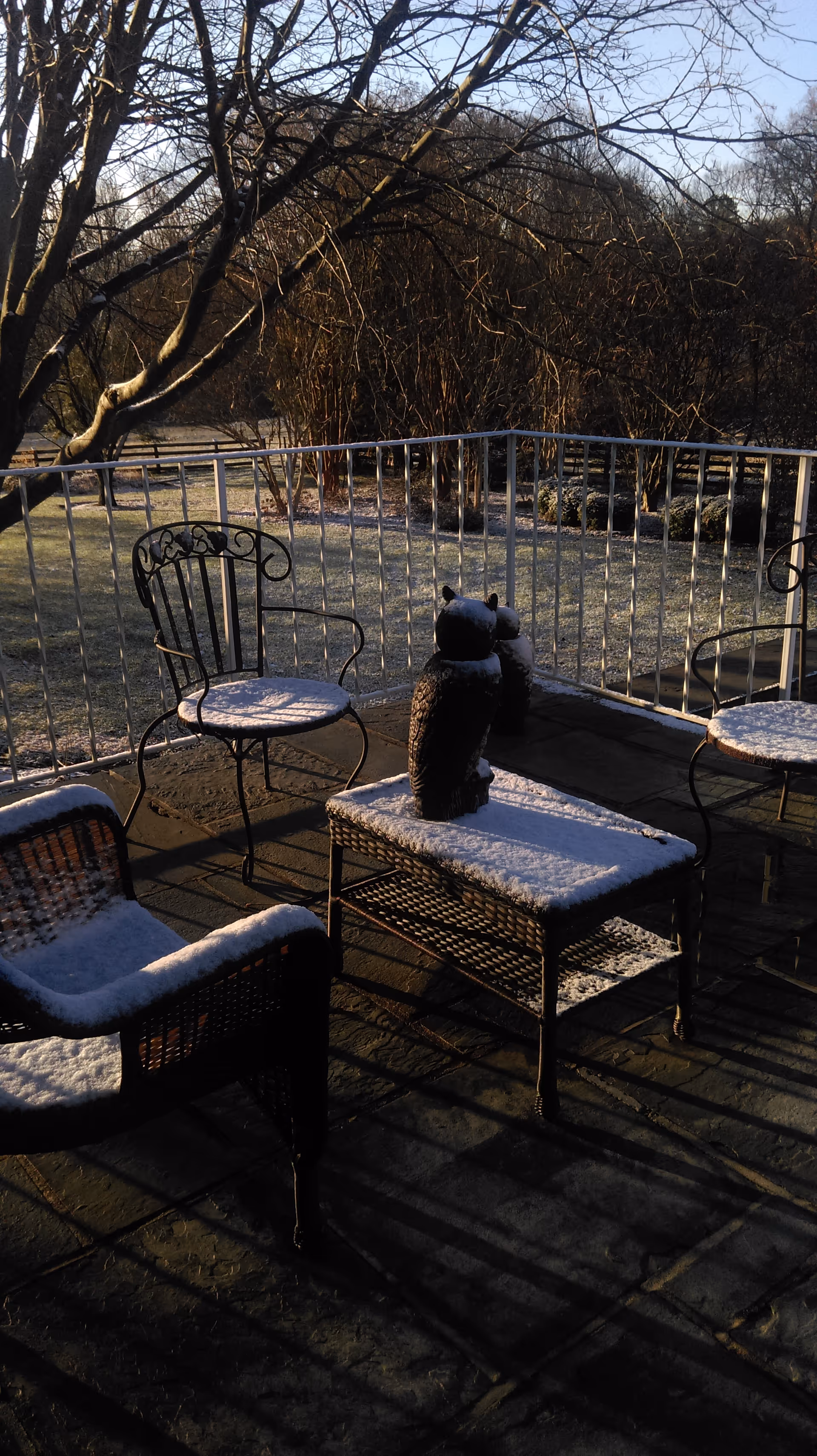 Outdoor patio area with metal and wicker chairs and a table covered with a light dusting of snow. Two owl statues are placed on the table. The patio is enclosed by a white railing, and leafless trees and bushes are visible in the background under a clear sky.