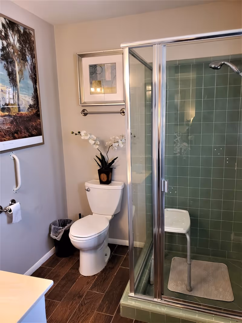A bathroom featuring a toilet beside a glass-enclosed shower with a shower chair, wall art, and a potted orchid on the tank.