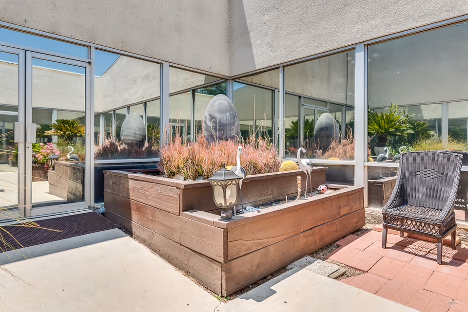 Sunlit courtyard with a raised wooden planter filled with ornamental grasses, decorative sculptures, and a wicker chair reflected in surrounding glass windows.
