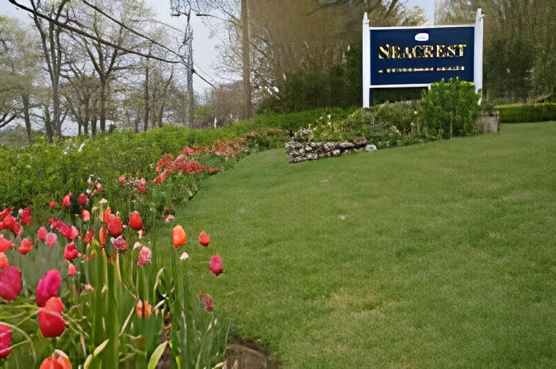 A grassy hillside with rows of tulips leading up to a Seacrest Assisted Living & Memory Care sign.