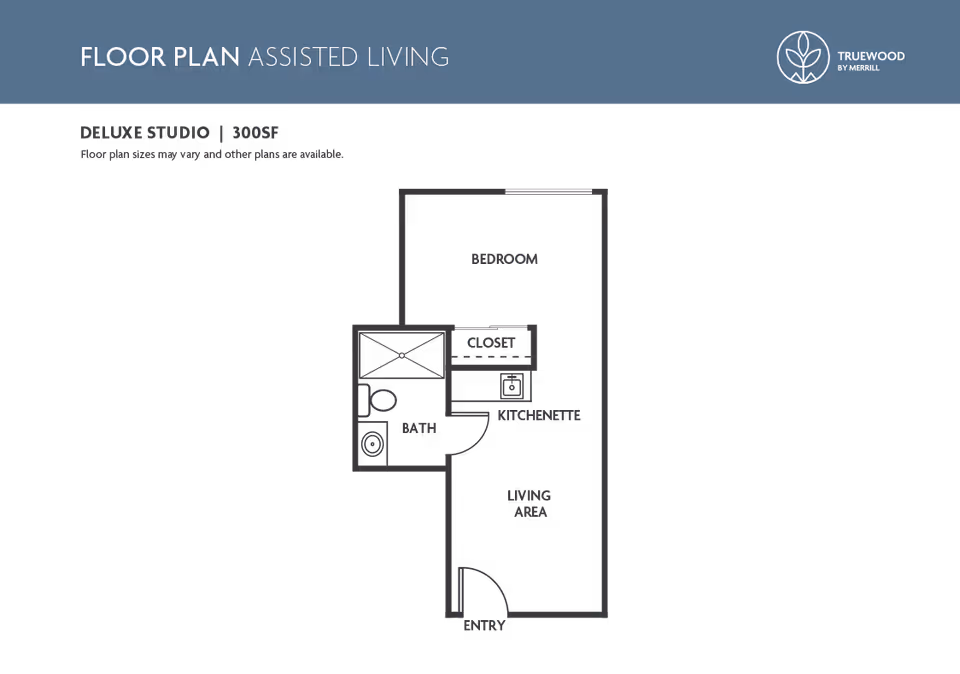 Blueprint-style floor plan for an assisted living deluxe studio showing bedroom, bath, kitchenette, closet, living area and entry (300 sq ft).