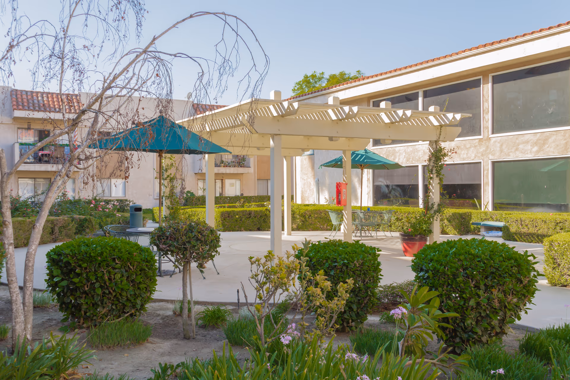 Outdoor courtyard area at Brookdale Anaheim featuring a white pergola with green umbrellas and metal tables and chairs. The space is surrounded by trimmed bushes, plants, and a few trees, with a beige building in the background under a clear blue sky.