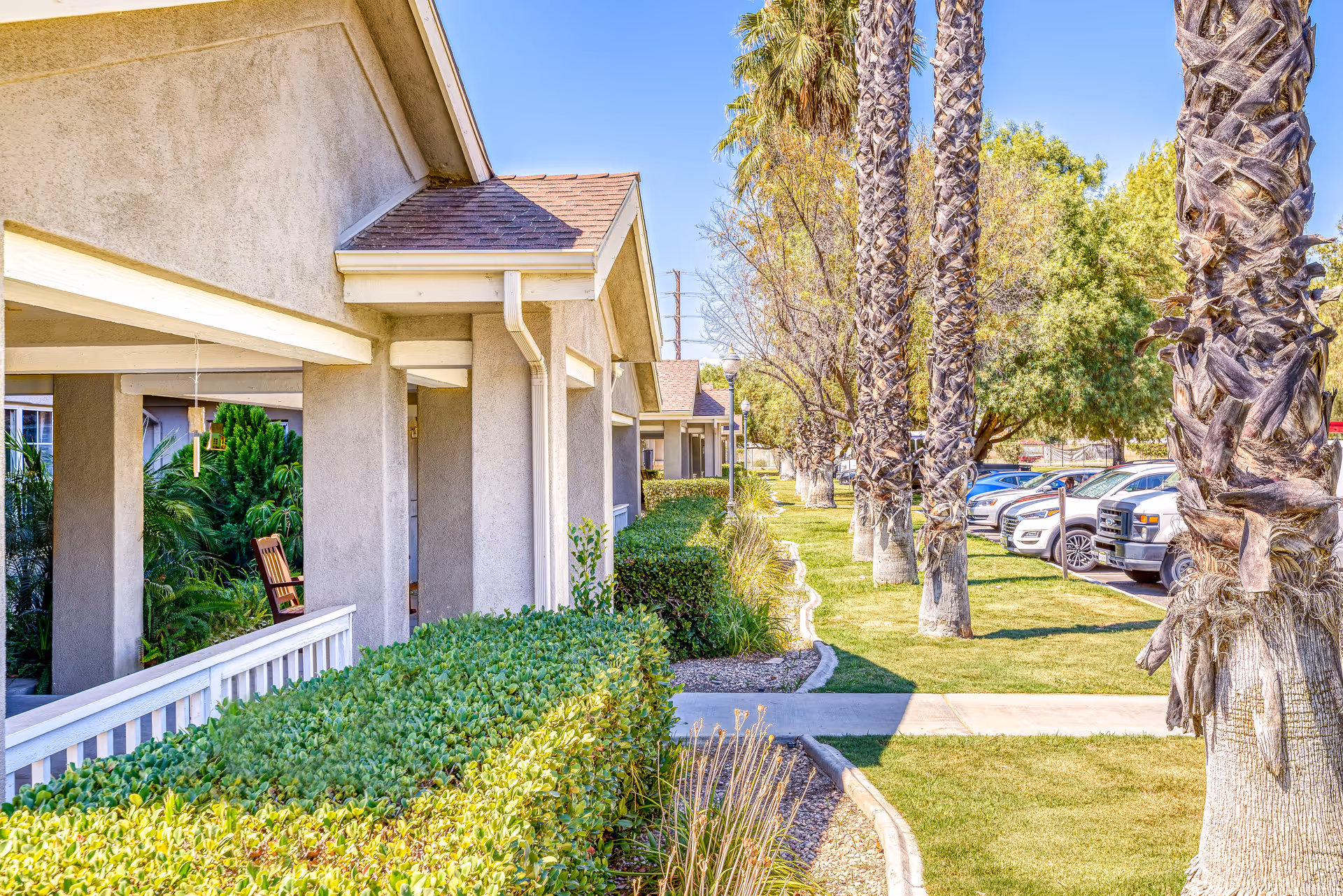 Exterior view of a senior living facility with beige stucco buildings, a covered porch with a wooden rocking chair, neatly trimmed green bushes, palm trees lining a sidewalk, and parked cars in the background under a clear blue sky.