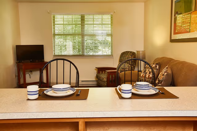 A cozy living area with a brown couch and patterned armchair near a window with blinds. In the foreground, a countertop with two place settings including plates, bowls, mugs, and utensils on brown placemats. A small TV is on a wooden stand to the left.