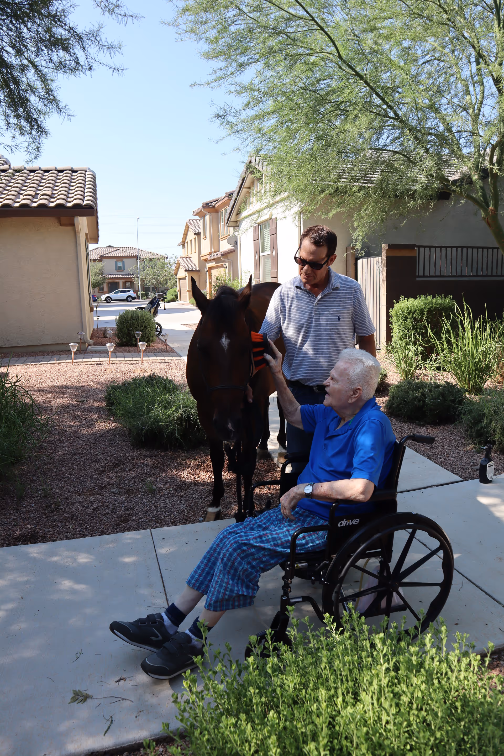 An elderly man in a wheelchair petting a brown horse while a man stands beside them outdoors in a residential area with houses and greenery around.