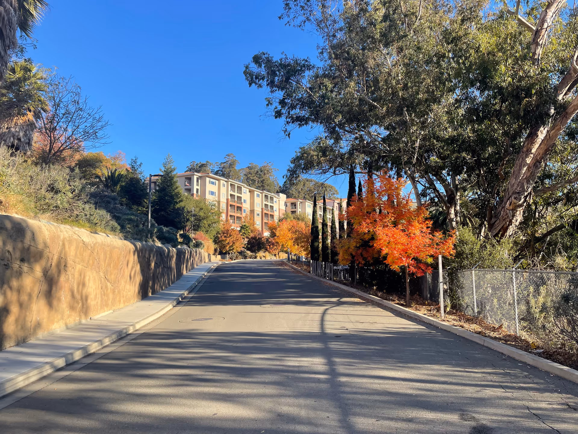 A paved road leading uphill towards a multi-story residential building surrounded by trees with autumn foliage and greenery under a clear blue sky.