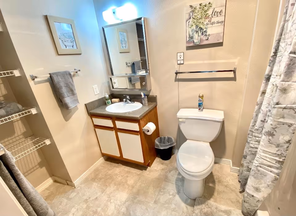 A clean bathroom with a white toilet, a vanity with a sink and mirror above it, a towel rack with a gray towel, a small trash can, and a shower with a patterned curtain. There are two framed pictures on the walls and a can of air freshener on top of the toilet tank.