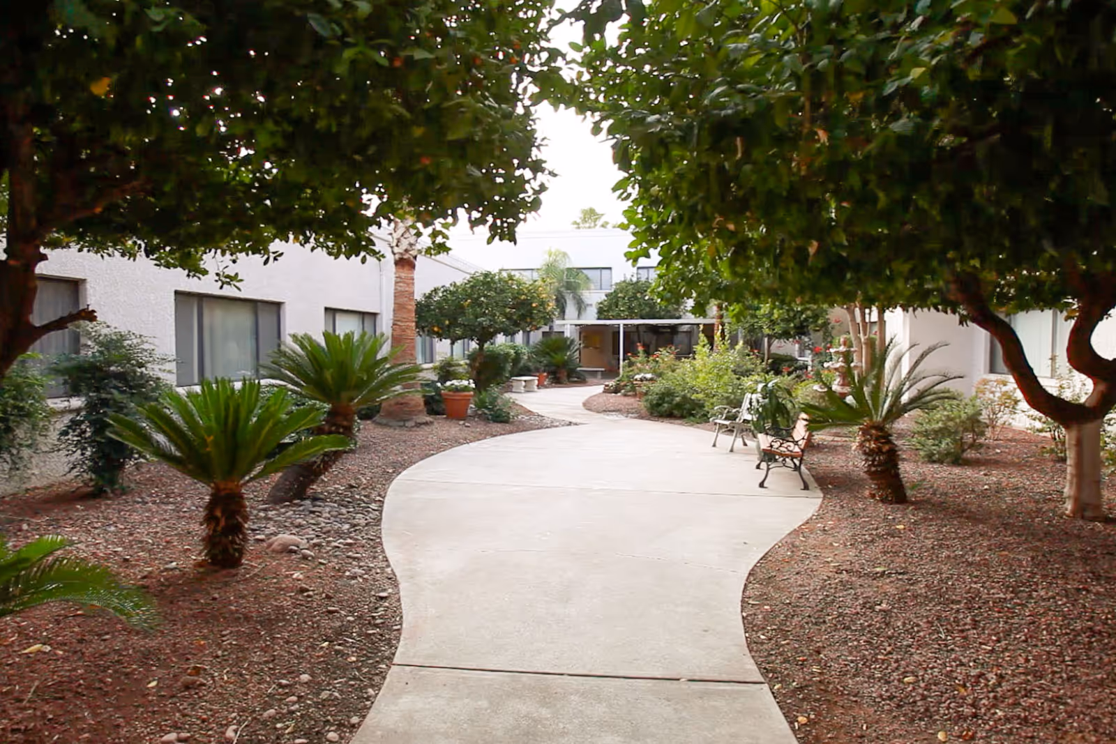 Curved concrete pathway through a landscaped courtyard with trees, potted plants, and benches between buildings.