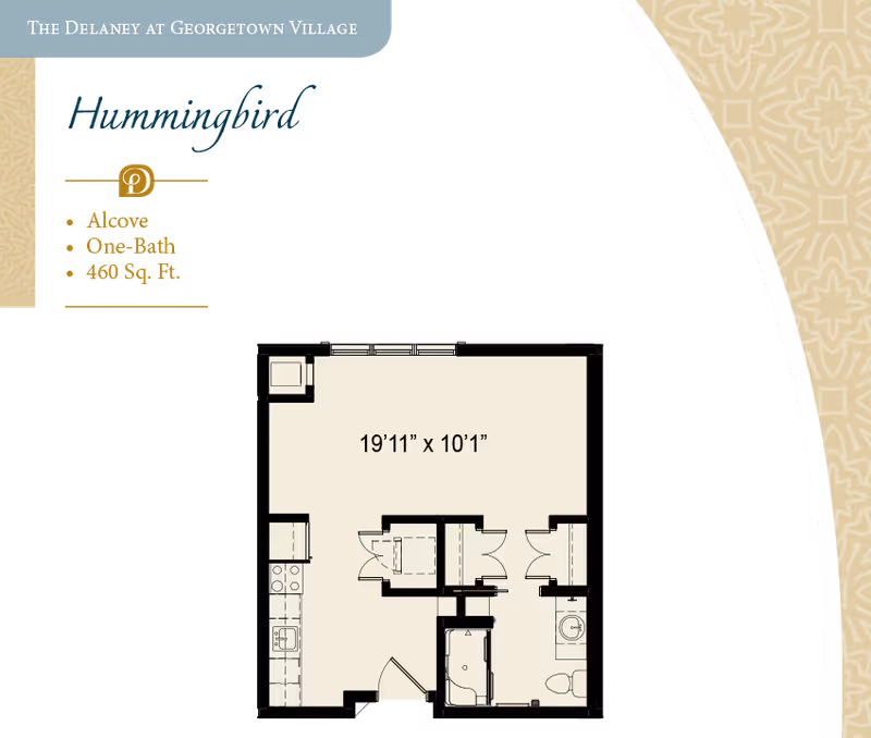 Floor plan layout of the Hummingbird alcove apartment at The Delaney at Georgetown Village, featuring one bath and 460 square feet. The plan shows a combined living and sleeping area measuring 19 feet 11 inches by 10 feet 1 inch, a kitchen area, a bathroom, and closets.