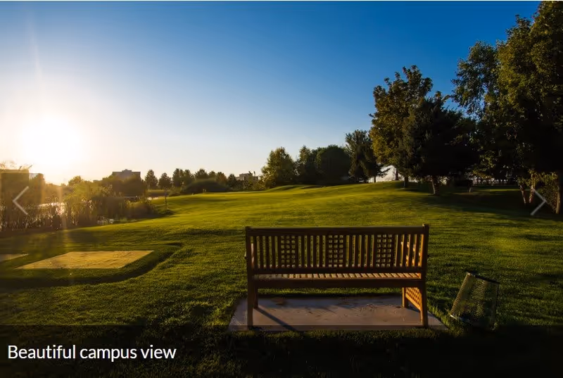 Wooden bench facing a sunlit grassy campus with trees and a pond at sunset.