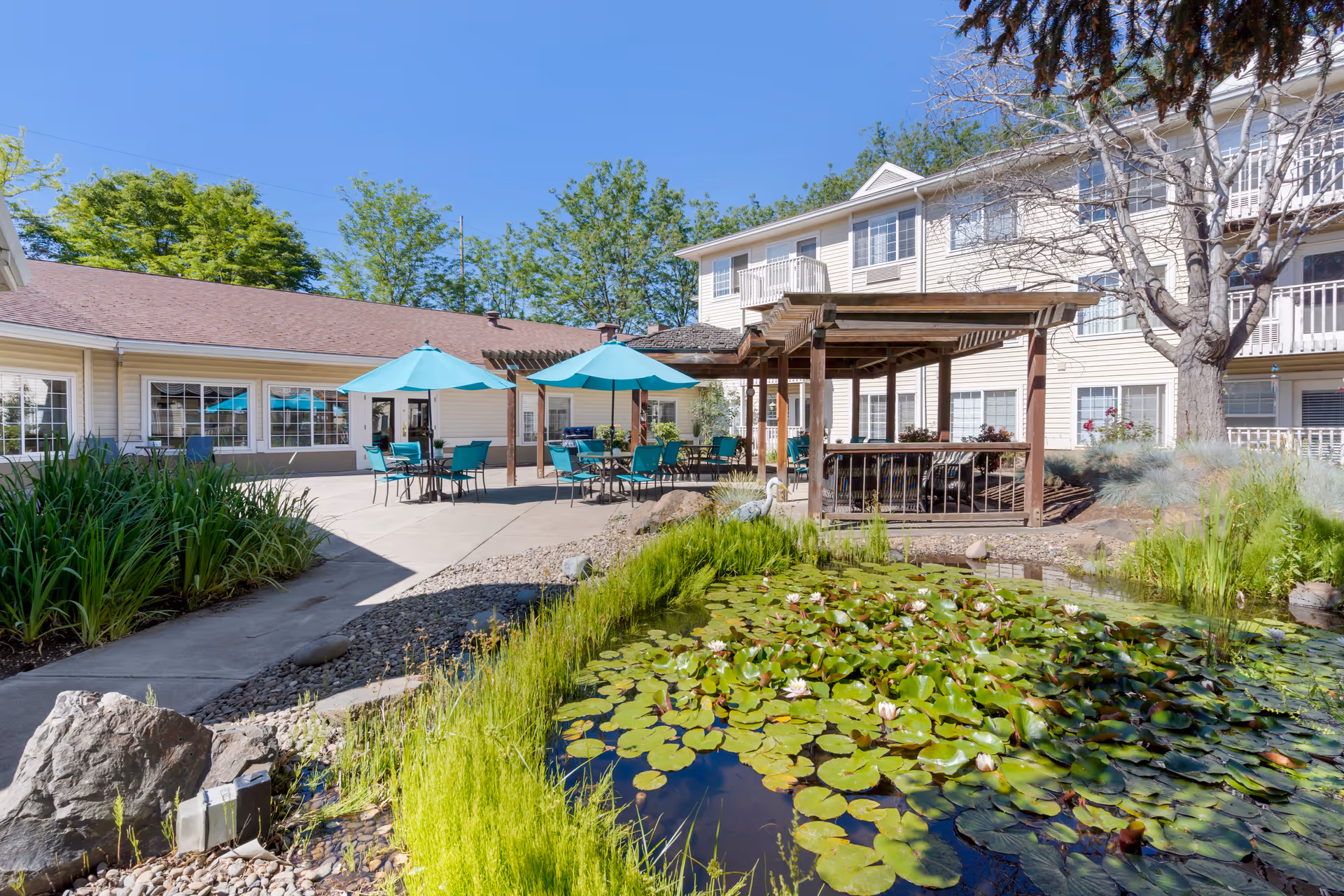 Outdoor courtyard area at Brookdale Medford featuring a pond with lily pads and flowers in the foreground, a wooden pergola, several tables with turquoise umbrellas and chairs, surrounded by a two-story building with large windows and balconies under a clear blue sky.