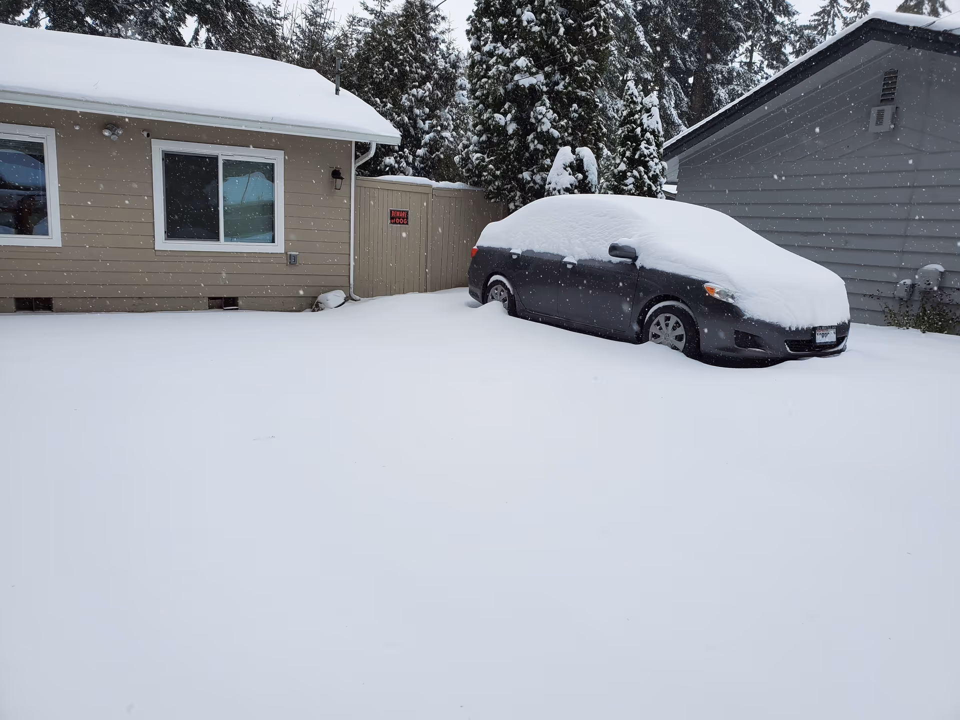 A snow-covered car parked next to a beige house with a snow-covered roof. There is a wooden fence with a 'Beware of Dog' sign and tall evergreen trees in the background, all covered in snow.