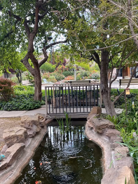 A peaceful outdoor garden area featuring a small pond with rocks along its edges, two trees on either side, and a black metal railing bridge over the pond. In the background, there are benches, greenery, and flowering plants.