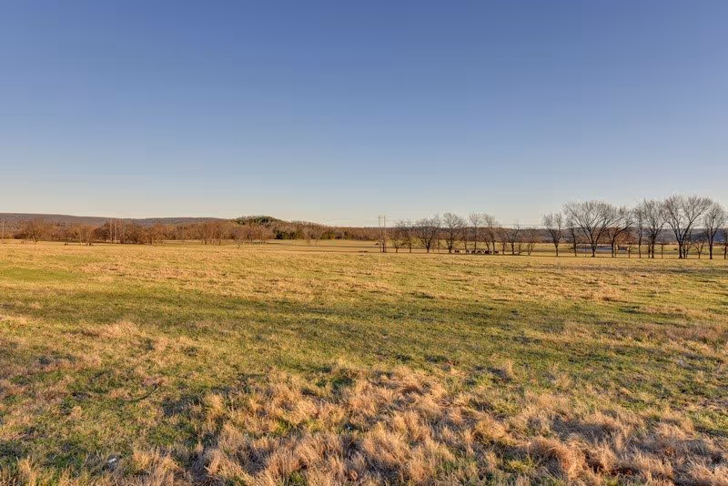 Wide open grassy field with a row of bare trees on the horizon under a clear blue sky.