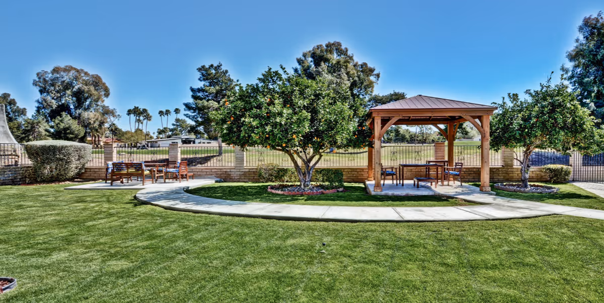 Sunny outdoor courtyard with a wooden gazebo, seating, paved walkway, green lawn and trees.
