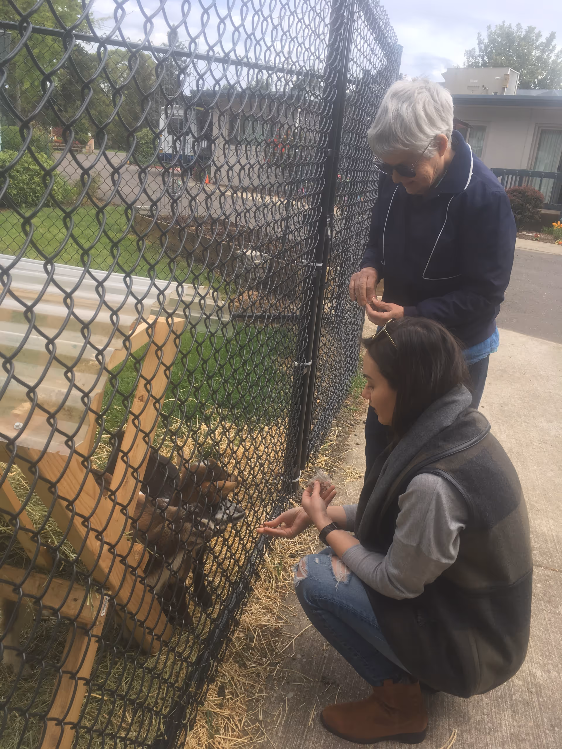An elderly woman and a younger woman interacting with small animals inside a fenced enclosure outdoors. The elderly woman is standing and wearing sunglasses and a dark jacket, while the younger woman is crouching and wearing a gray vest, jeans, and brown boots. The enclosure has a wooden structure and some hay on the ground.