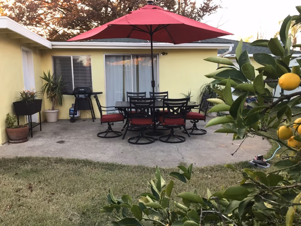 Outdoor patio area with a black metal table and six matching chairs with red cushions under a large red umbrella. There is a barbecue grill and several potted plants near a yellow building with a sliding glass door and window. In the foreground, there are green leafy branches with yellow fruit.