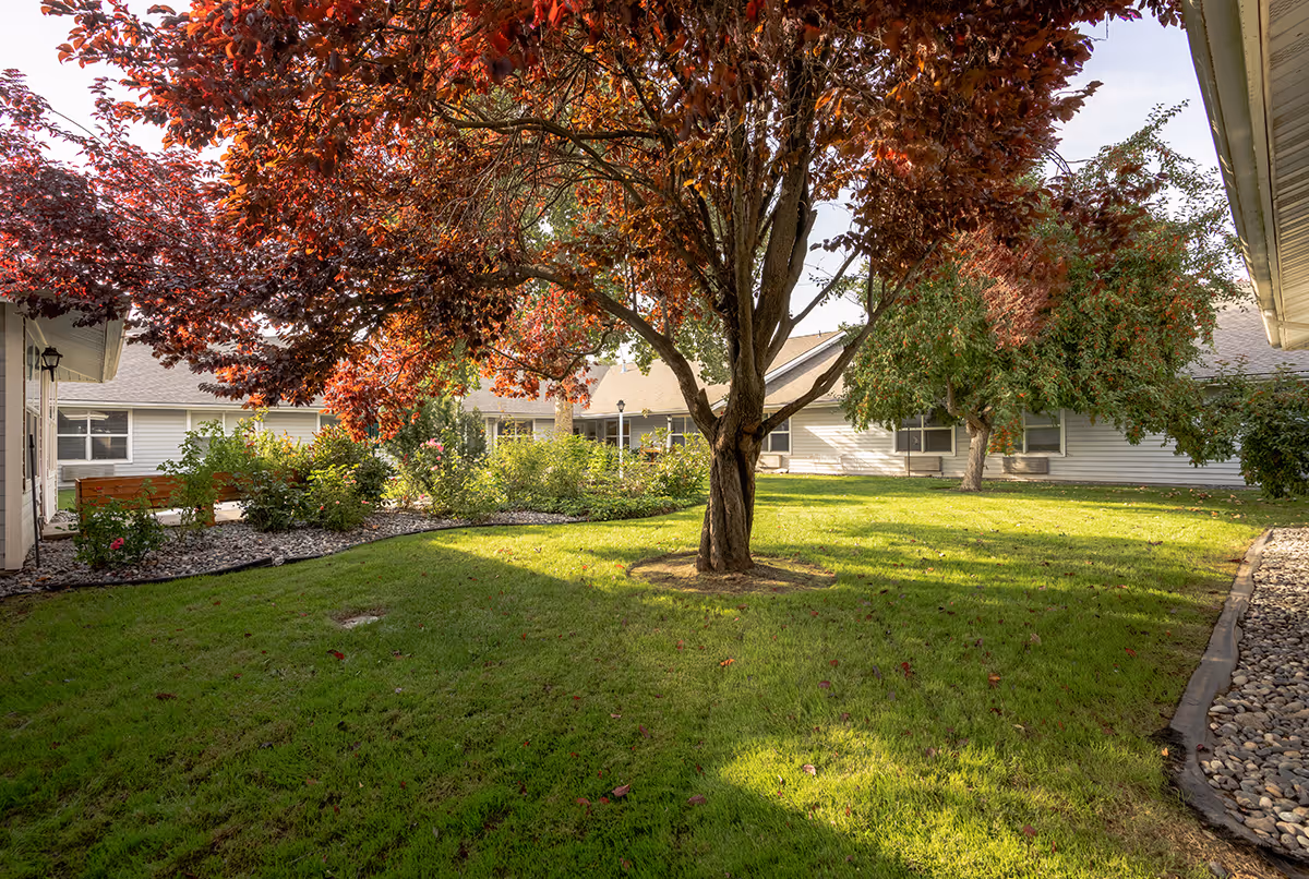 A peaceful courtyard with green grass, a large tree with red leaves in the center, surrounded by bushes and plants. Single-story buildings with white siding and windows encircle the courtyard under a clear sky.