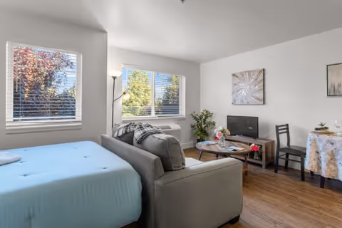Studio living area with a bed, gray sofa, coffee table, TV, and a small dining table by sunlit windows.