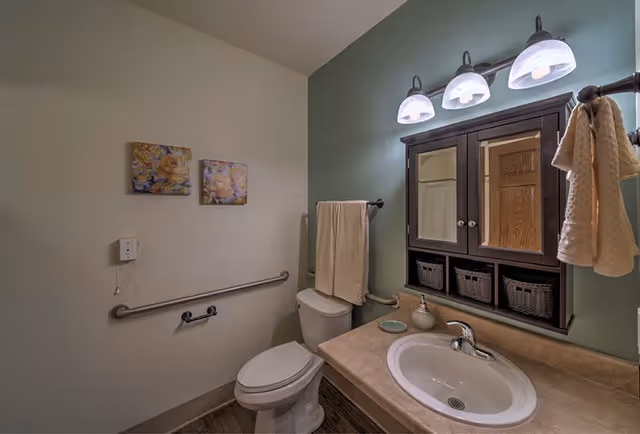 Well-lit accessible bathroom with a toilet, sink and vanity mirror cabinet, grab bars, and towels.