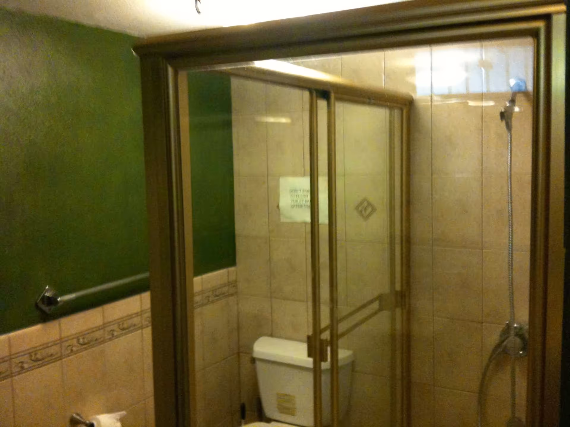 Bathroom with green painted walls and beige tiled lower walls. There is a glass-enclosed shower with a sliding door, a showerhead, and a toilet visible inside the shower area. A towel bar and a toilet paper holder are mounted on the wall.