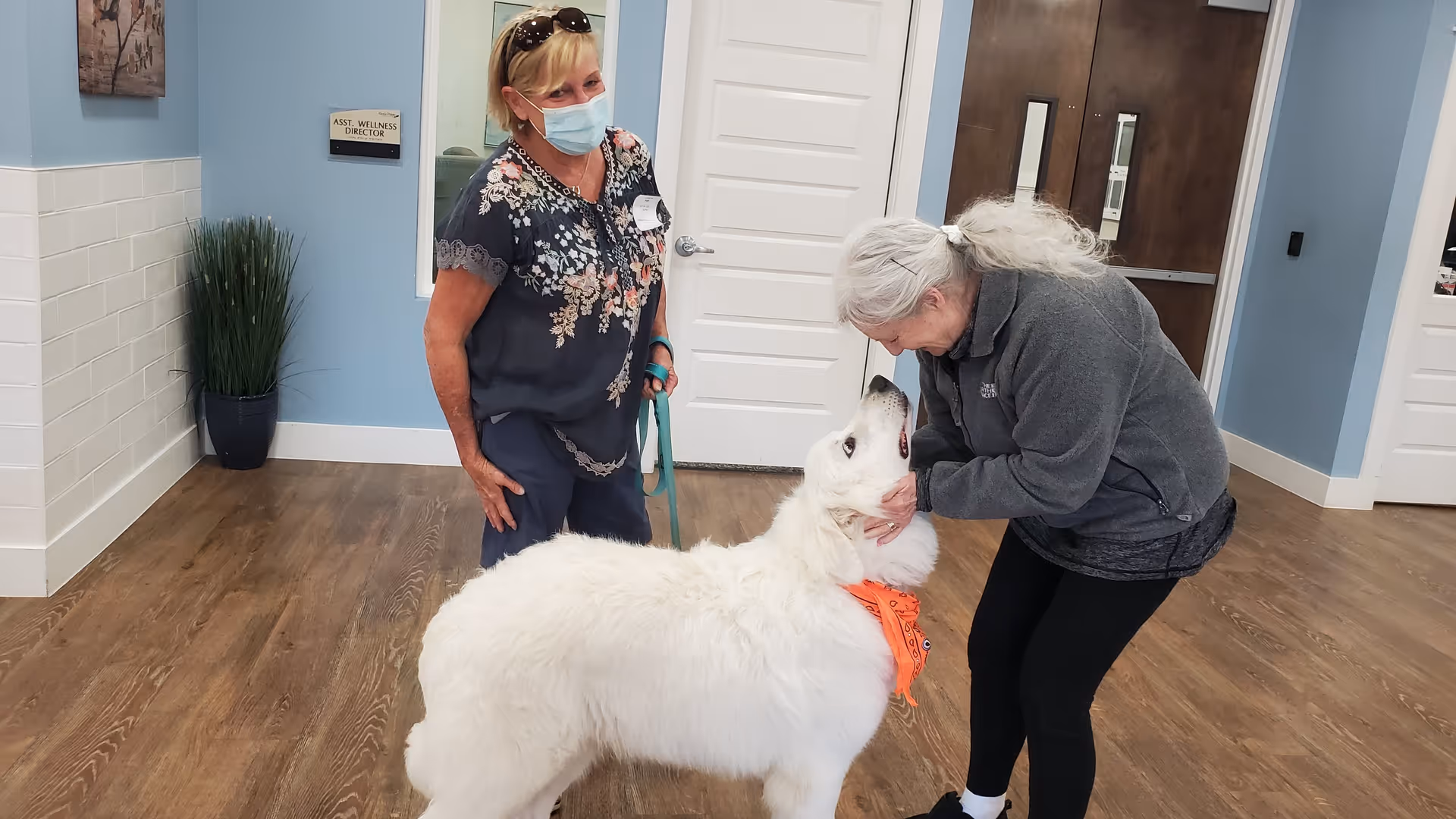 Two women interacting with a large white dog wearing an orange bandana inside a senior living facility. One woman is bending down to pet the dog while the other stands nearby holding the dog's leash. The room has light blue walls, wooden flooring, and a door labeled 'Asst. Wellness Director'.