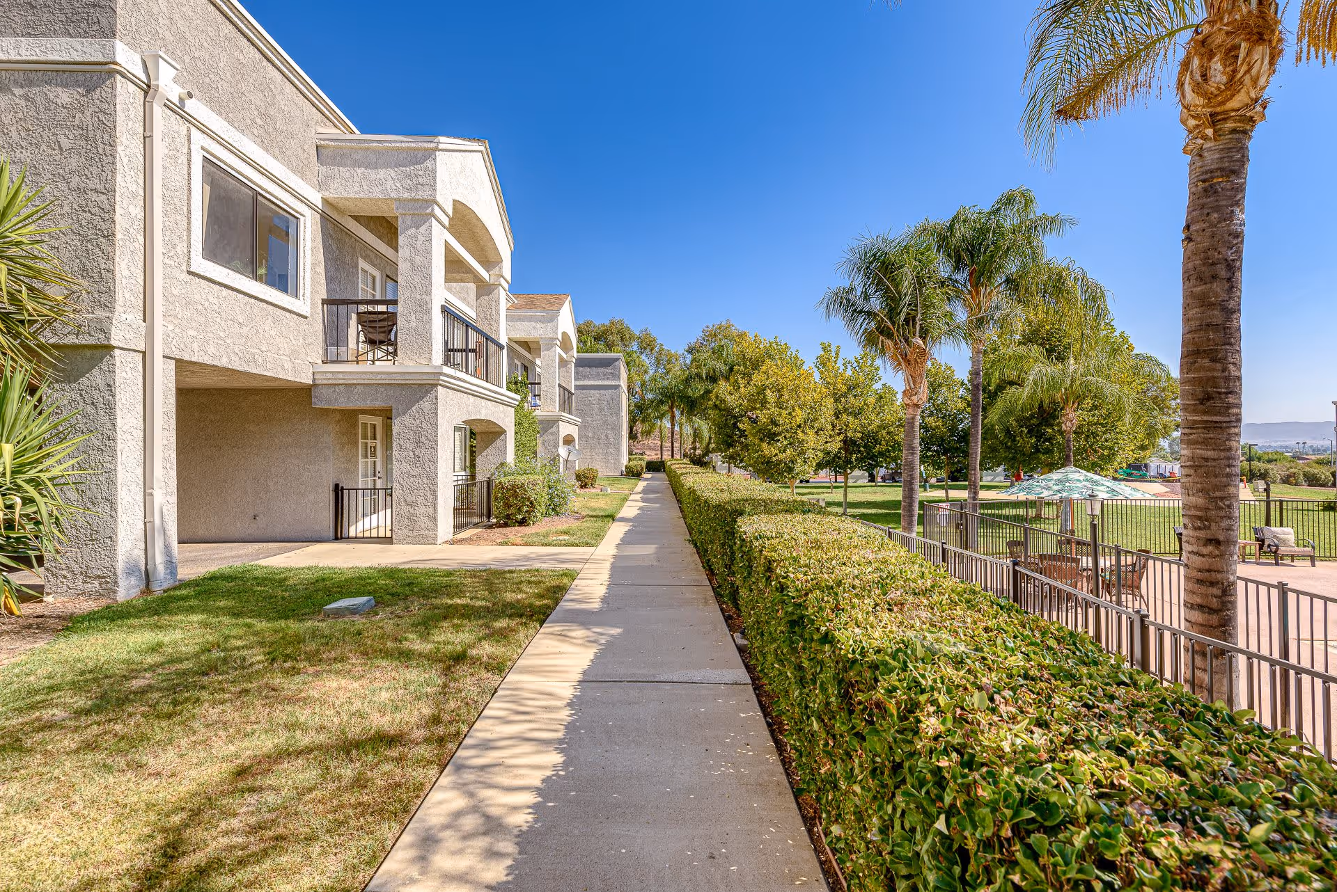 Sidewalk running alongside a senior living facility building with balconies and patios, bordered by neatly trimmed hedges and palm trees under a clear blue sky.