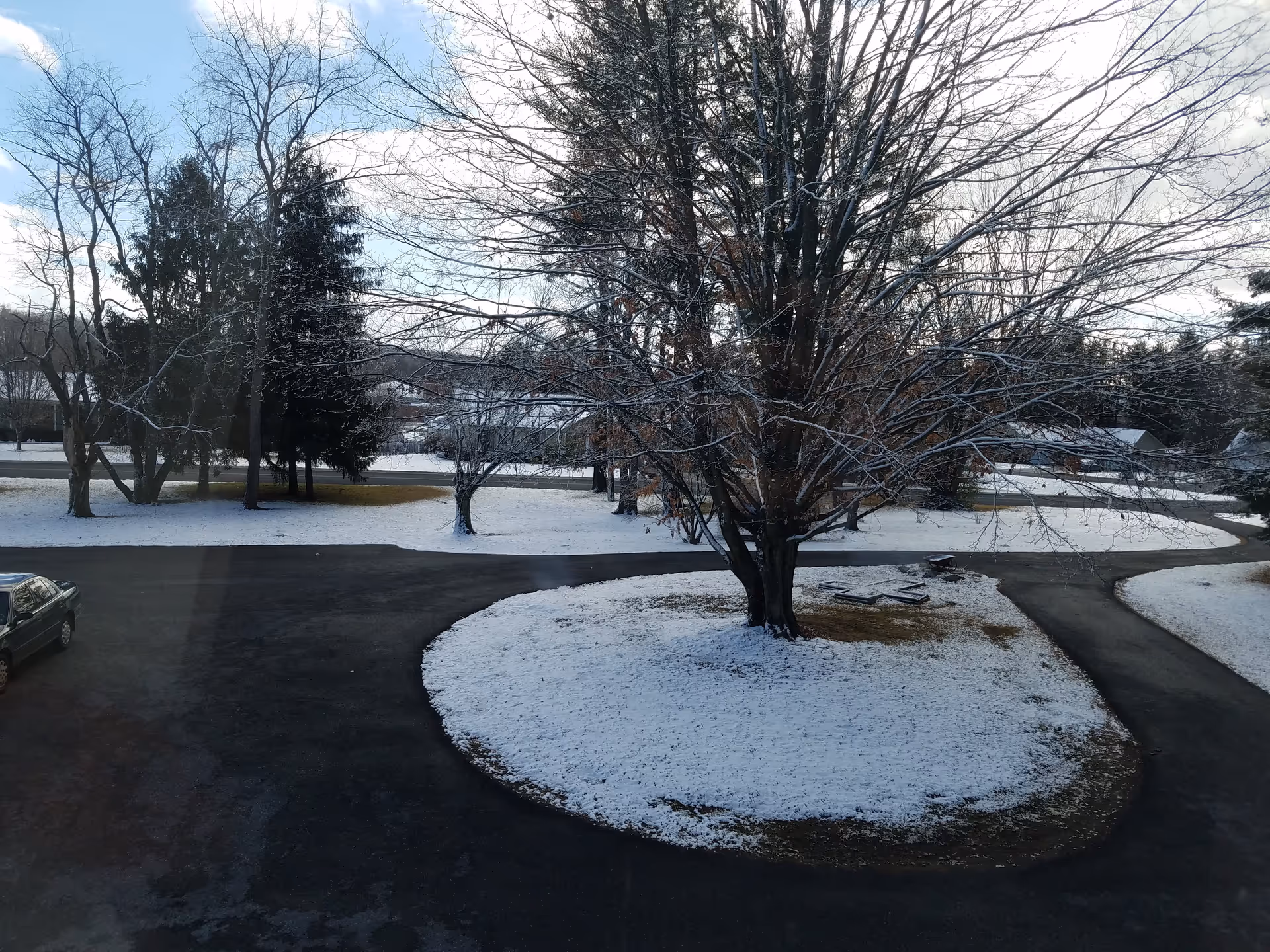 Outdoor view of a snow-covered circular driveway with a large tree in the center. Surrounding the driveway are more trees with light snow on their branches and patches of grass visible. A parked car is seen on the left side of the driveway under a partly cloudy sky.