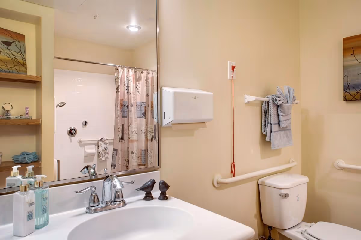 Accessible bathroom with a sink and mirror, toilet with grab bars and emergency pull cord, and a shower with a patterned curtain visible in the mirror.