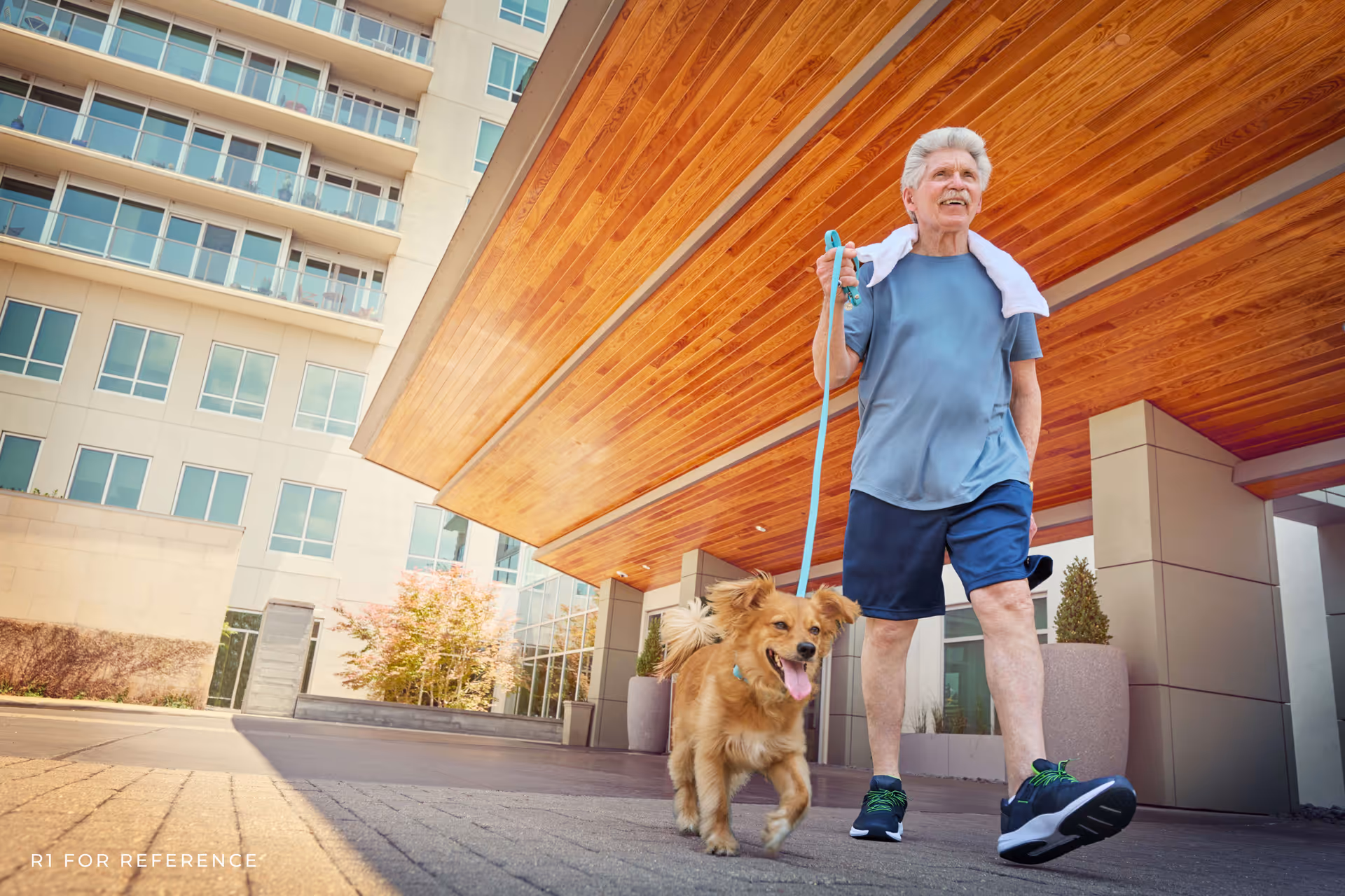 An elderly man wearing a blue t-shirt and shorts walks a happy golden dog on a leash outside a modern building with large windows and a wooden overhang. The man has a white towel draped around his neck and is smiling.