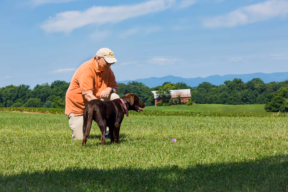 An elderly man wearing an orange shirt and beige cap kneels on a grassy field, interacting with a brown dog wearing a pink collar. In the background, there are trees, a red barn, and mountains under a blue sky with some clouds.