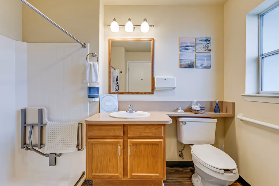 Accessible bathroom with a walk-in shower and fold-down seat, vanity with sink and mirror, and toilet under a window.