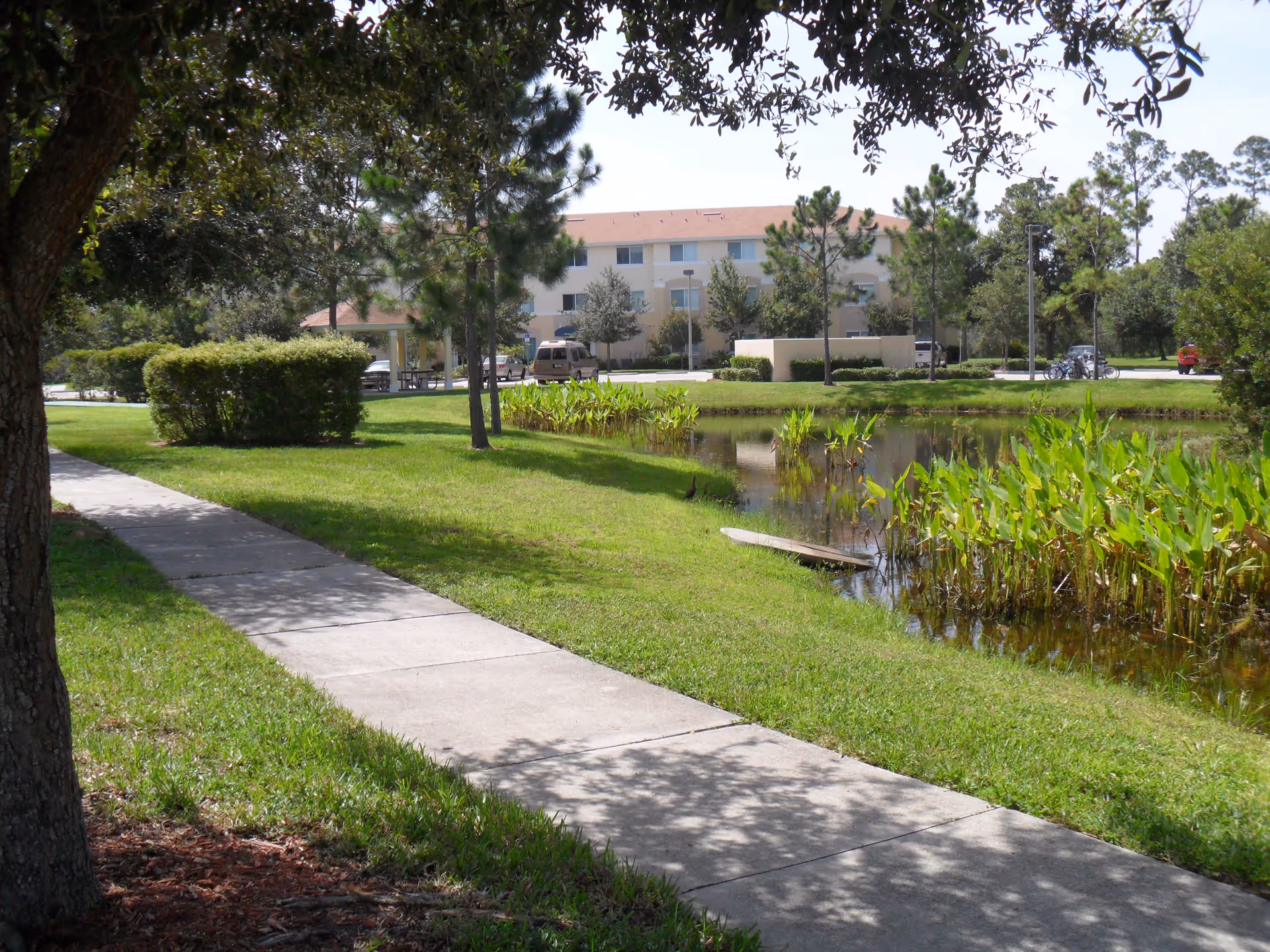 A peaceful outdoor scene at Willow Creek featuring a concrete walkway beside a small pond with green plants growing along its edge. Trees and bushes surround the area, and a three-story building is visible in the background under a clear sky.
