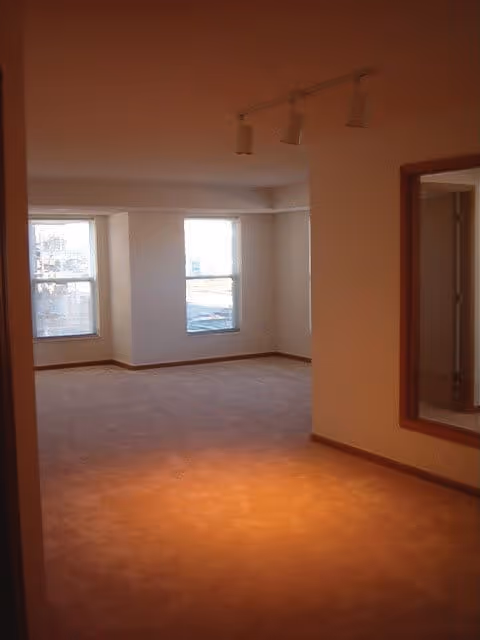 Empty room with beige carpet and white walls, featuring two large windows letting in natural light, a track light fixture on the ceiling, and a large wall mirror on the right side.