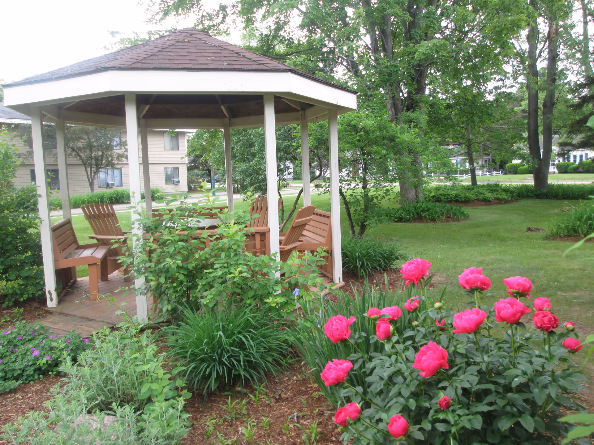 A wooden gazebo with benches inside surrounded by green bushes and trees in a garden area. Bright pink flowers are blooming in the foreground, and residential buildings are visible in the background.