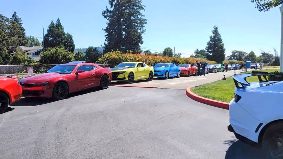 A line of colorful sports cars parked along a driveway next to a grassy area and trees under a clear blue sky.