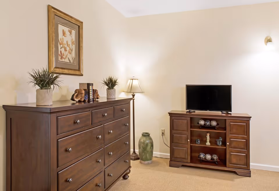 Interior room with a large wooden dresser and matching TV cabinet, decorative plants, lamp, and framed artwork on cream walls.